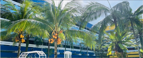 完整梳理！新加坡莎顿国际学院申请流程，新手必看